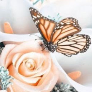 Meet your Posher, Audrianna